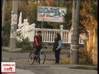 Problemi Vlaha Srbije, Timocke Krajine i Braniceva - Problemele romanilor din Valea Timocului