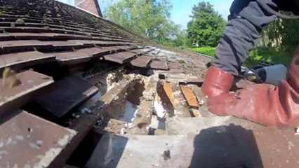 Nid de guêpes sous toiture dans l'Eure