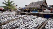 Philippines: vaste pollution au gasoil dans la baie de Manille