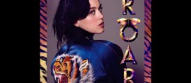 Katy Perry - Roar - Satin Cape