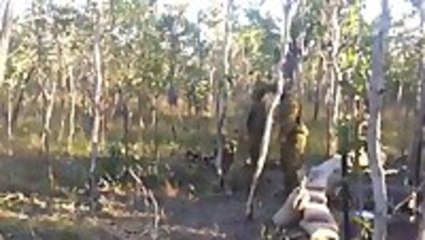 Soldier Fails Trying To Tackle Tree