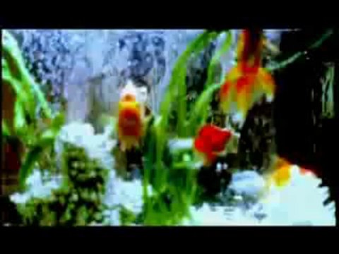 Katula Katula (Davut Güloğlu) - Sesli Lila-SESLİLİLA-SESLİLİLA.COM-WWW.SESLİLİLA.COM-CHaT,SeSLiCHaT,KaMeRaLıCHaT,SeSLiSiTeLeR PLaTFoRMu