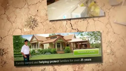 Termite Treatment Los Angeles