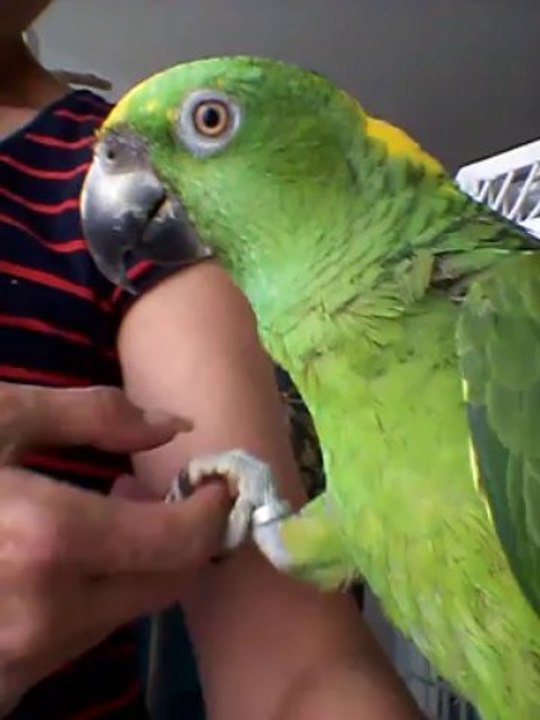 Moment câlin avec mes loulous