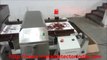 MICRO SCAN METAL DETECTOR FOR WHOLE SPICES / SPICES INDUSTRY
