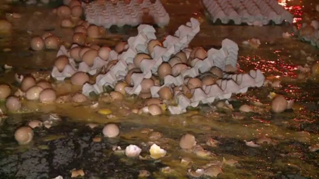 Prix des oeufs en France: les producteurs en colère