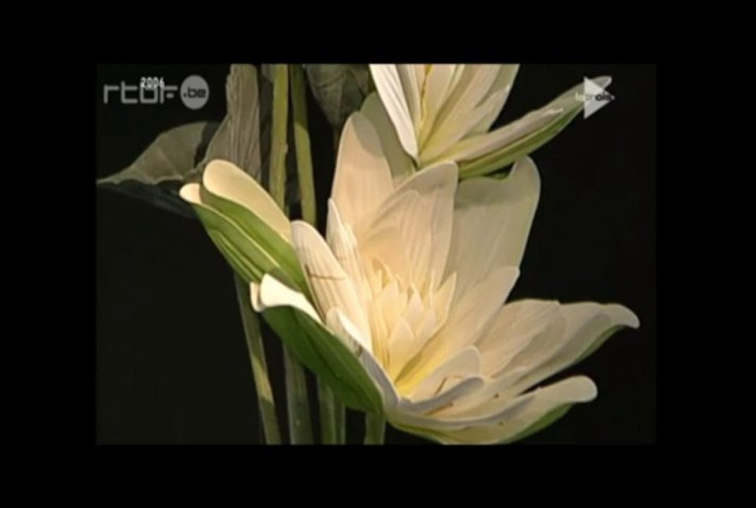 Sagesse avec Matthieu Ricard (2)