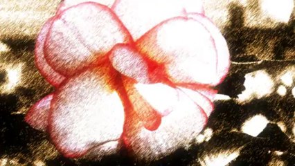 Bailando con Vampiros Opening