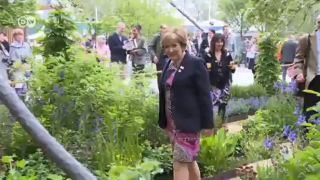 World Stories: International Reporters | World Stories