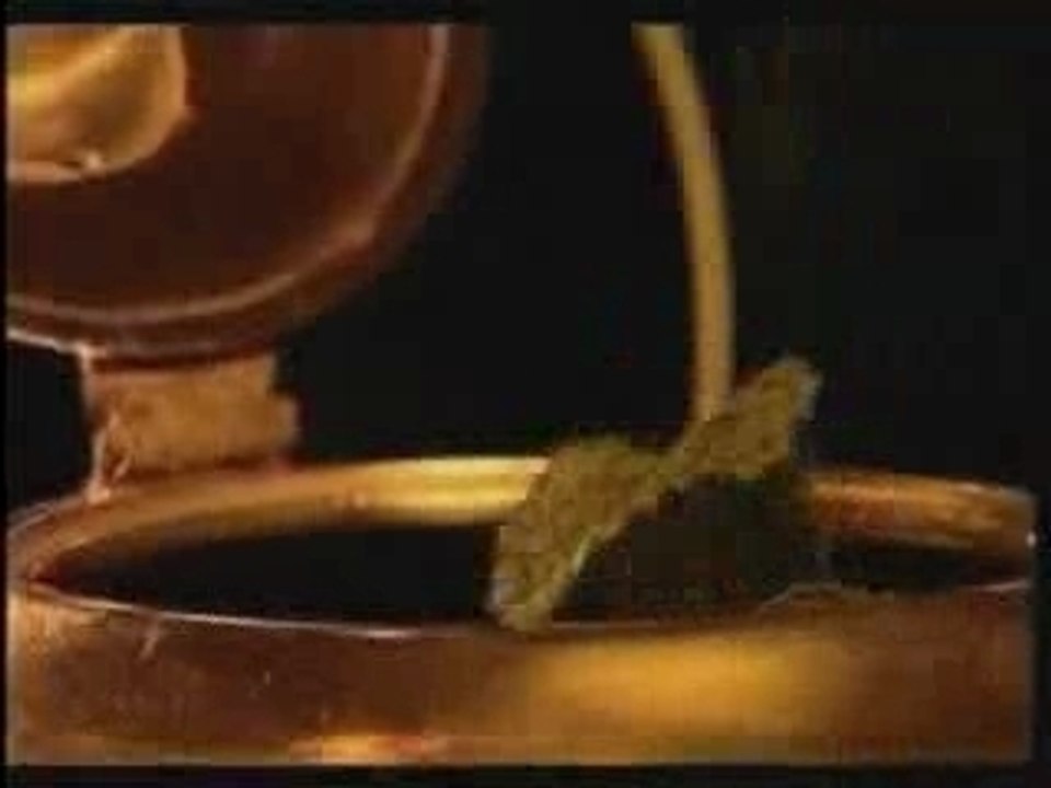 pub atay sultan maroc