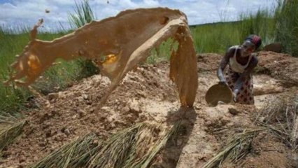 Counting the Cost - Mali's golden economy