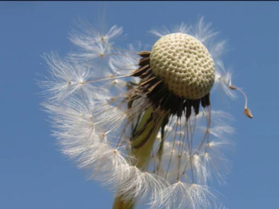 Glass By Daniel Hope