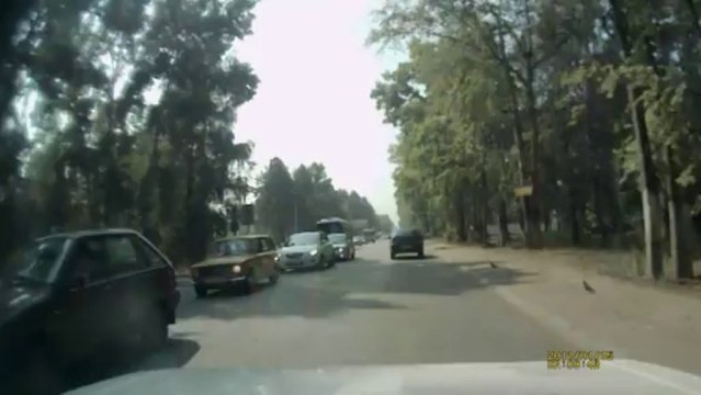 самые умные