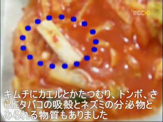 韓国軍の食事から「ネズミ、カエル、かたつむり」が･･･