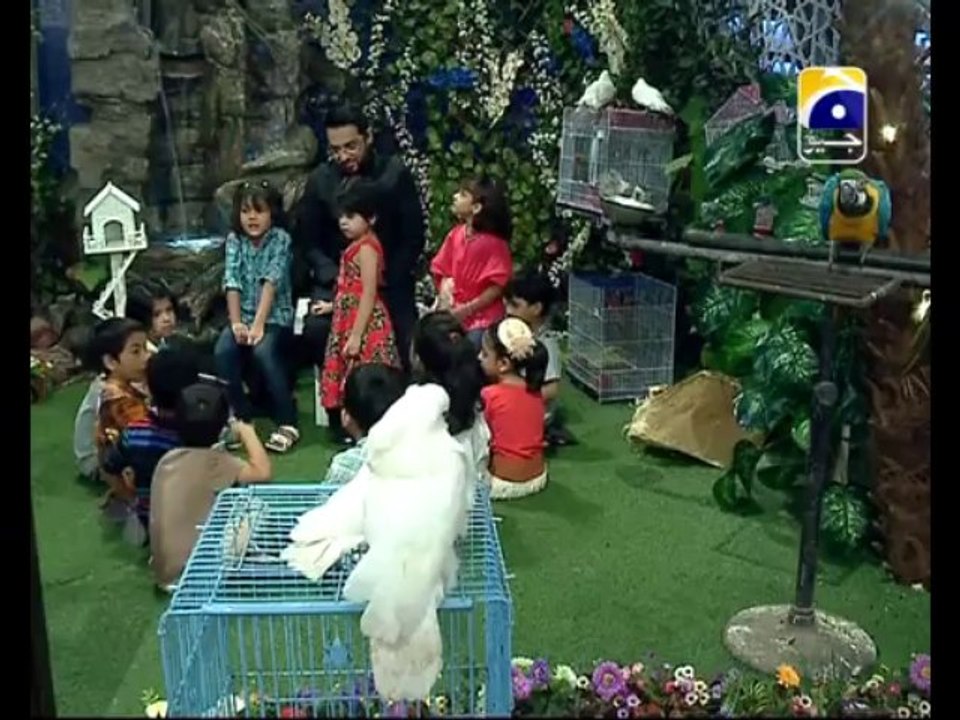37 Charind Parind Aftar Day-19