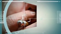 Electronic Cigs Tastes Like Normal Cigarettes