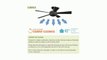Hunter Prestige 23931 Meadow 52-Inch Midnight-Copper 5-Blade Outdoor Ceiling Fan with Light Fixture Review