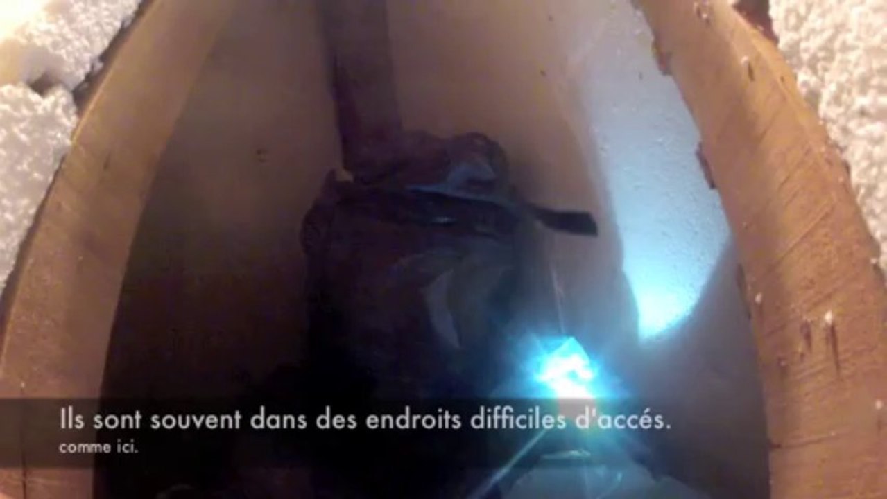 frelons dans lucarne (EURE)