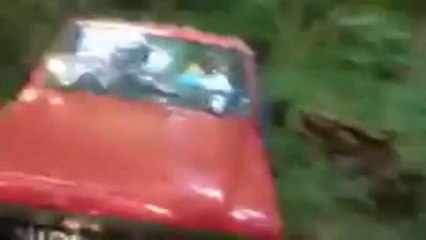 Charly en mode bûcheron ! Mdrrrr