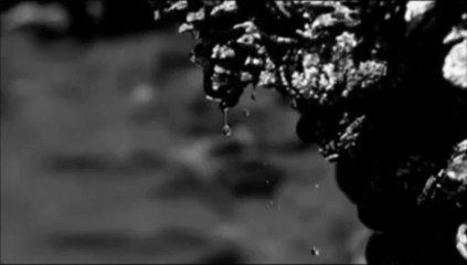 Paolo Amoruso -  Asfalti