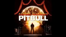 Pitbull ft Akon _ David Rush - Everybody Fucks -