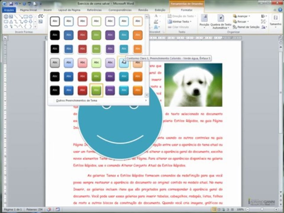 word2010  CAPÍTULO 4 - AULA 3 Autoformas