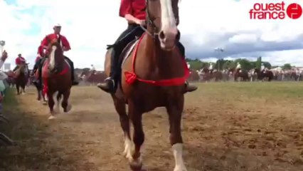 Fête du cheval - Film de la journée