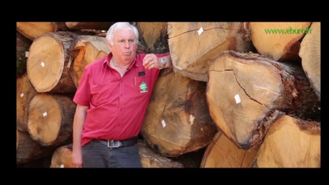 Vidéo / EBURO Granulés bois, le chauffage renouvelable