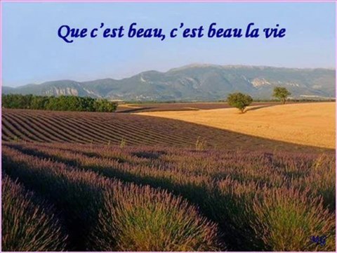 c'est beau la vie de Jean Ferrat