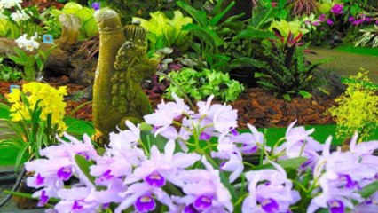 Gradina Din Sera (PP) [720p]