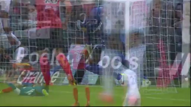 But Dimitri PAYET (16ème) - EA Guingamp - Olympique de Marseille (1-3) - 2013/2014