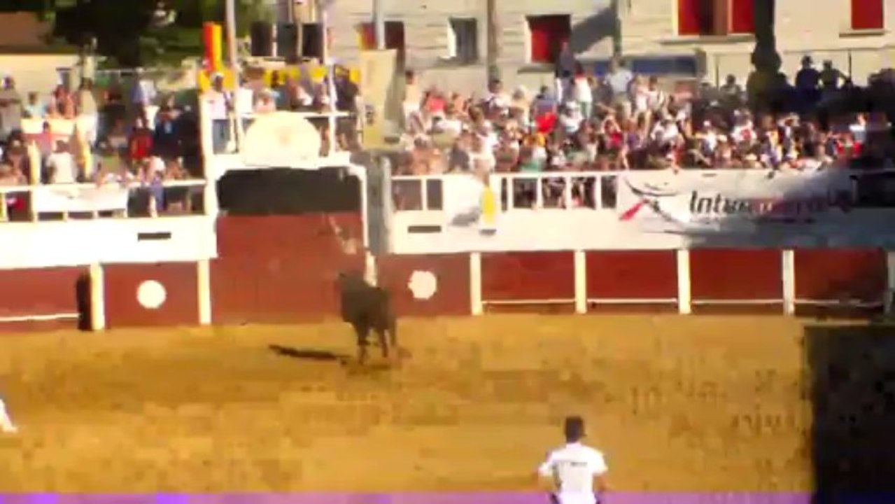Festival Gasco-Camarguais 2