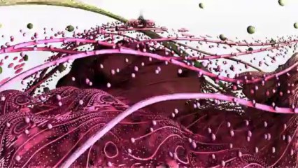 Honoring Mothers and MLK's Legacy