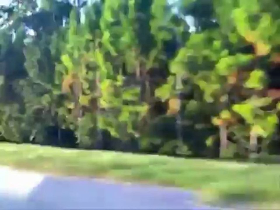Un paseo por la carretera.
