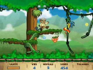 [Neopets] Aventurier de la jungle score Max - by shayn_