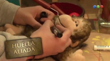 Huellas Aliadas - Julián