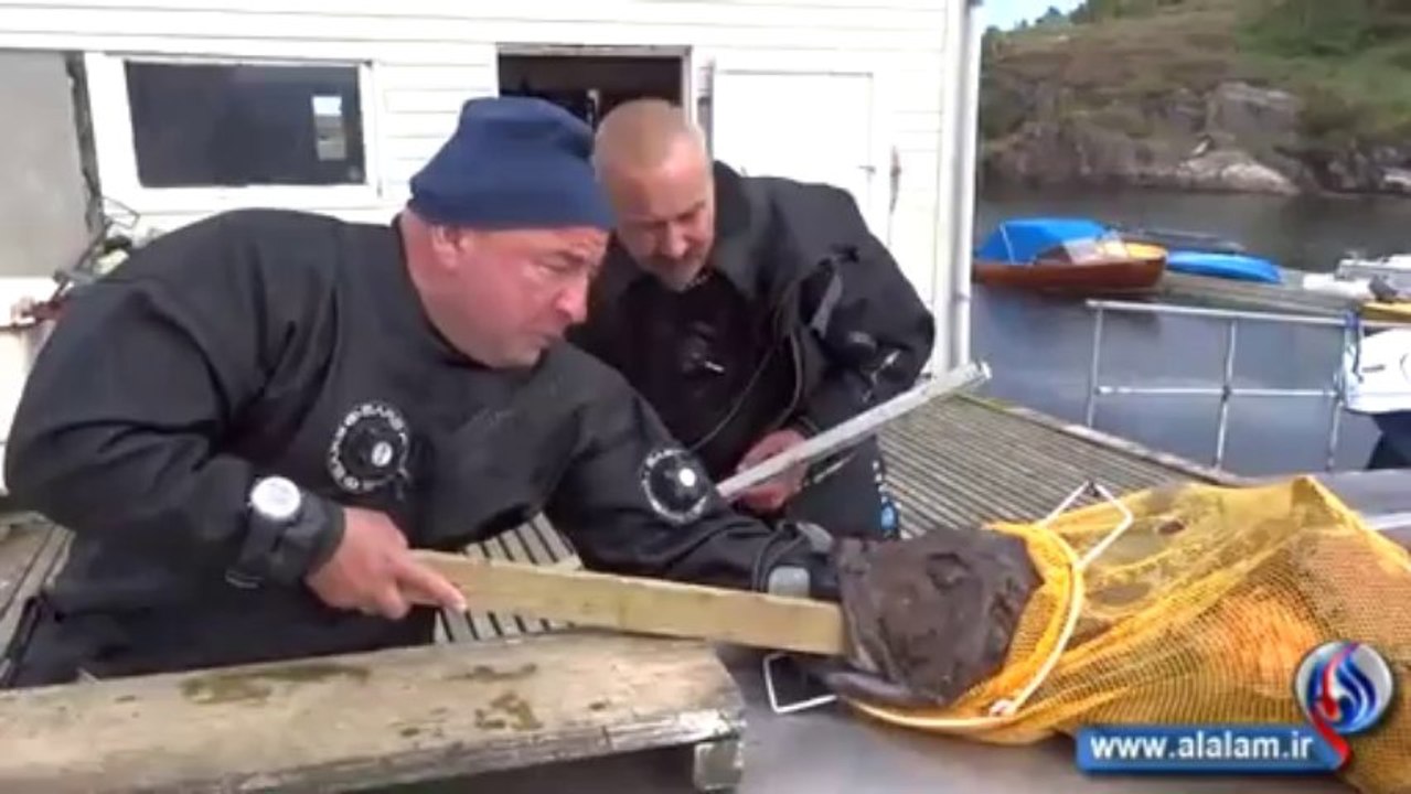 محاولات إخراج يد روسي عالقة في فم سمكة متوحشة taking hand out of fish mouth