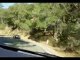 Miniature DailyMotion