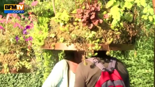 22e édition des Jardins de Chaumont-sur-Loire - 12/08