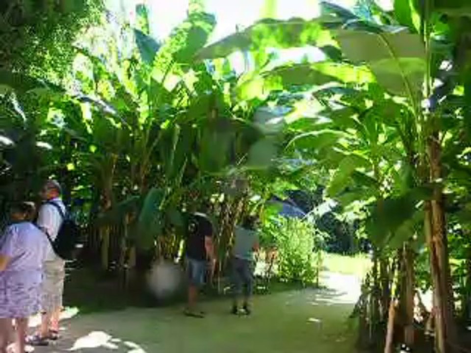 village de bambou