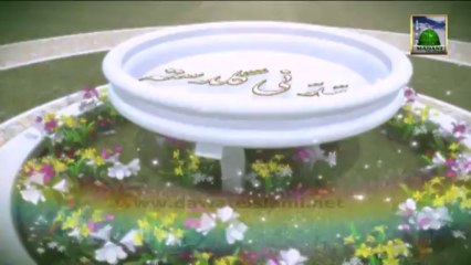 Useful Information - Rozadar Ke moo ki Bu - Maulana Ilyas Qadri