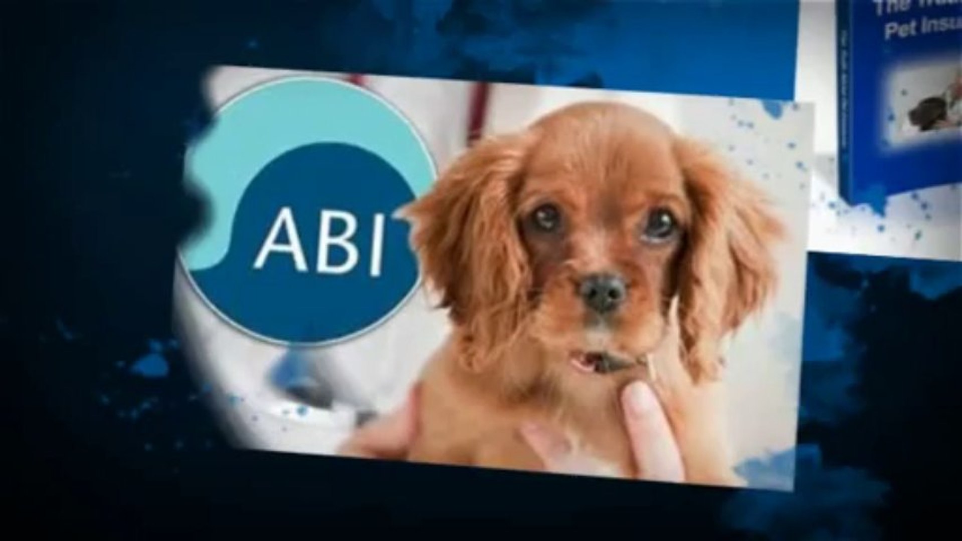 ⁣pet insurance