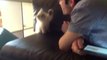 Un chaton essaye d'attraper le souffle de son maître... trop mignon!!
