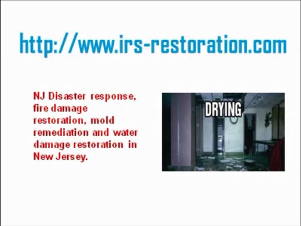Mold Cleanup NJ