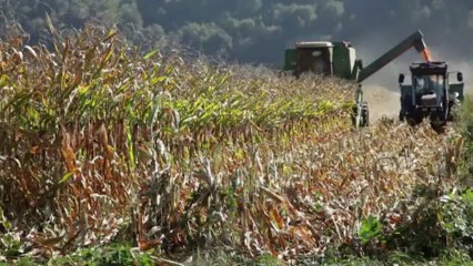 What Biotechnology Means to the Consumer?