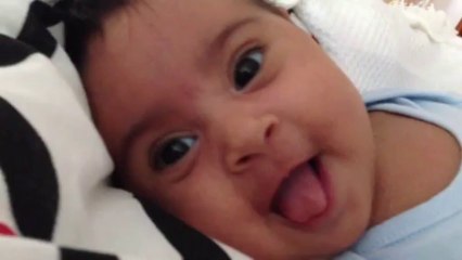 vad rolig när de börjar smeka