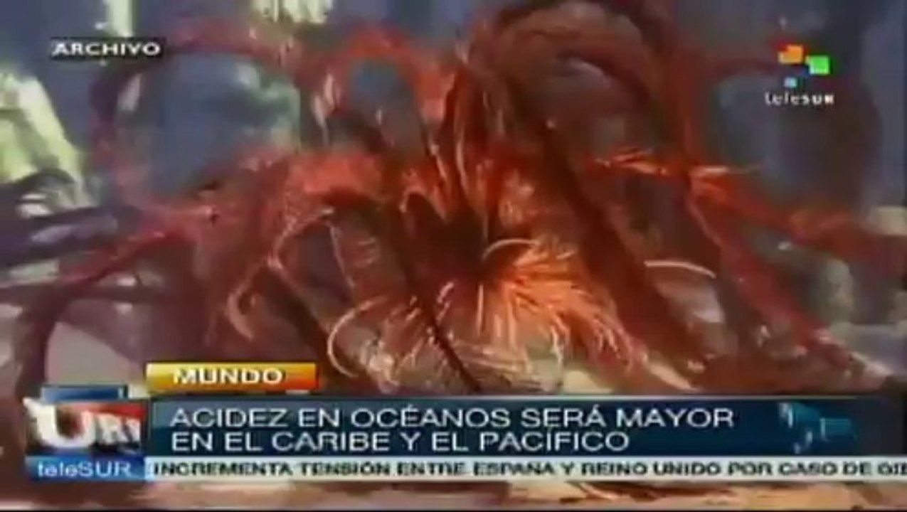 El aumento de acidez en océanos será mayor en e...