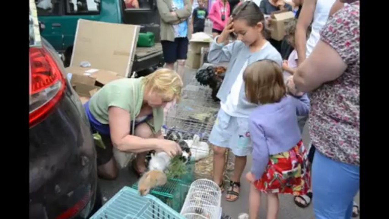 Reportage Petits paniers