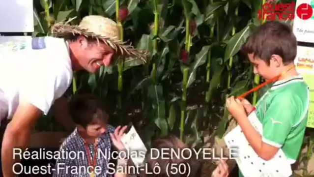 Le Trésor normand - Trésor normand