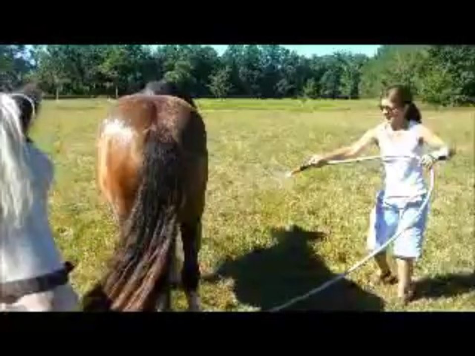 douche  aloha et cliona 15 aout 2013